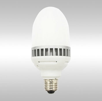 25W 2200lm 6000K E26